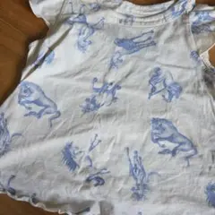 Item thumbnail for item cd6efd63-efd0-4d48-a51a-45e6fe225d3f