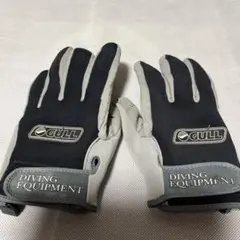 Item thumbnail for item 19edf879-30aa-4aa8-9ccf-0a8ba6532f9b