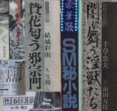 絶版】◯小説90年8月 千草忠夫 結城彩雨 前田寿按 楡畑雄二 椋陽児 他
