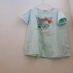 any FAM 猫イラスト Tシャツ 【120】水色 中古品 子ども