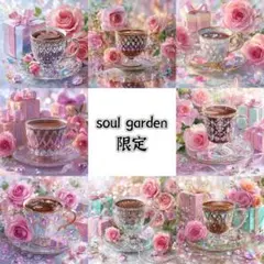 soul garden 20