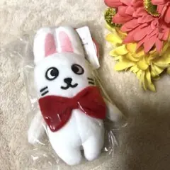 未開封　チバトモぬいぐるみキーホルダー　千葉大学　マスコット　うさぎ　ニシ