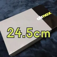 【24.5cm】NIKE AIR MAX 95 BIG BUBBLE SE