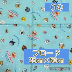 Item thumbnail for item 0556794d-0559-4fe6-9c94-b878c9a1ed1a