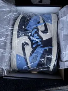 Nike Air Jordan 1 Retro High OG 9