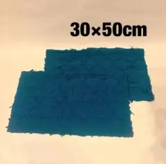 Item thumbnail for item dc739c54-a1b3-4fb9-b932-c6d3183910a7