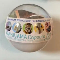 旭山動物園ヴィネット 《おらんうーたん館》〜人工の森のヒト