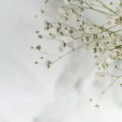 ちぇるさま専用