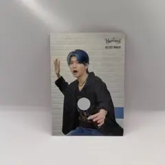 Mrs. GREEN APPLE 若井滉斗 フォトカード021 Harmony