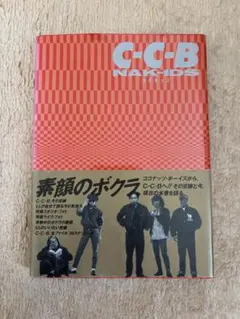 Item thumbnail for item f927ebb9-757c-4f85-84be-09c008b8faa1