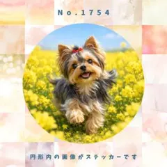 Item thumbnail for item f477d128-a190-48bf-b7a2-21bee2a66da3