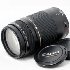 CANON EF28-80mm 75-300mm 2本セット 管mpr - メルカリ
