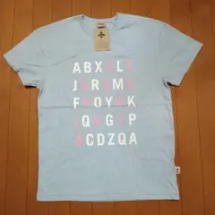 廃盤 STUSSY SISTA オールドステューシー シスタ Tシャツ 旧タグ