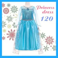 プリンセスドレス 120cm ブローチ付き コスプレ ハロウィン