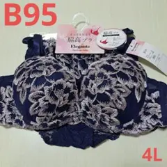 b95