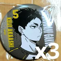 ハイキュー‼︎ ポートレート　トレーディング缶バッジ　赤葦京治