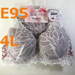 【E95/4L】ブラ・ショーツセット★2点以上で各200円引き★50831041