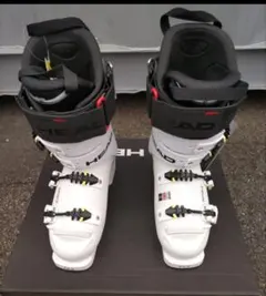 Item thumbnail for item 031eff62-61c4-4df8-a742-713efa94c79d