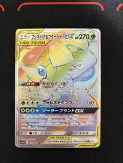 フシギバナ＆ツタージャGX HR SM11a リミックスバウト 074/064