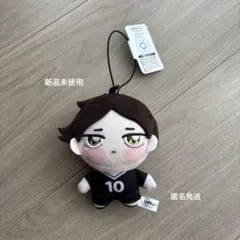 【訳あり】ハイキュー!! ちょぴぬいぷち⑧ ぬいぐるみマスコット　角名倫太郎