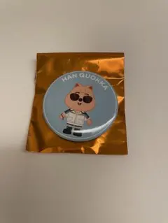 Stray Kids スキズ JYP POPUP SKZOO ハン クォッカ