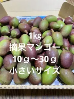 沖縄県産 摘果マンゴー 青マンゴー グリーンマンゴー - メルカリ
