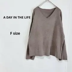 A DAY IN THE LIFE Ｖネックニットセーター　F ブラウン　長袖のサムネイル
