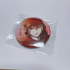 2025年最新】大正×対称アリス 赤ずきんの人気アイテム - メルカリ