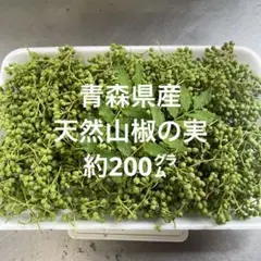 青森県産　天然山椒の実　実山椒　約200㌘のサムネイル