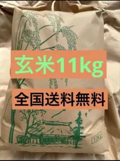 玄米 11kg お米　米　ご飯　全国送料無料のサムネイル