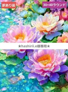 hashirii.e様 リクエスト 2点 まとめ商品