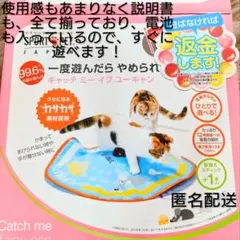 Item thumbnail for item 138e0d54-a097-4f08-bae6-b5dc08625bcf