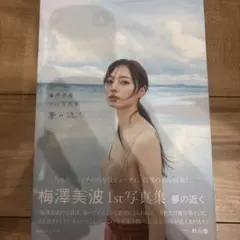 2025年最新】梅澤美波1st写真集の人気アイテム - メルカリ