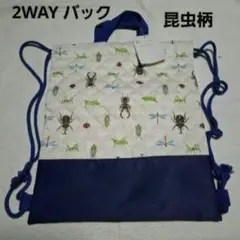 男の子 2WAY バック　昆虫柄