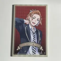 ツイステッドワンダーランド ツイステ トレーディングマグネット　ケイト