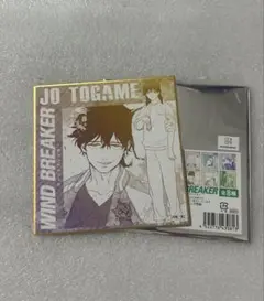 【十亀条】WIND BREAKER ウィンドブレイカー　トレーディング色紙