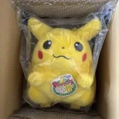 ポケモン 30周年記念 おかえり!ピカチュウ 1/1