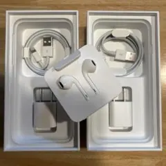 Apple純正イヤホン & USB-Lightning充電器セット