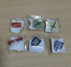 ポ*ス様 BUMP OF CHICKEN　ピンズ　6個セット