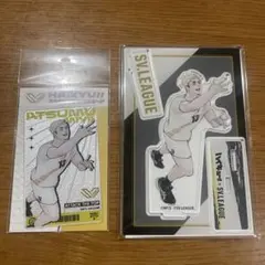 ハイキュー!! svリーグコラボ　宮侑