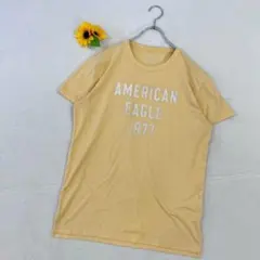 アメリカンイーグル【M】夏物売切りセール　Tシャツ　プリント　半袖　カジュアル