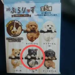 くったり 柴犬 元気いっぱい JB ぬいぐるみ 30cm くろりん 新品タグ