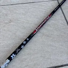 Item thumbnail for item b04908e6-2add-48ba-bab8-344fba979250