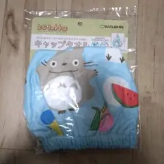 Item thumbnail for item 68035c67-fa65-47cf-ac75-6ceee01f0aa3