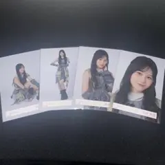 櫻坂46 向井純葉　IWTC ジャケ写　生写真　コンプ