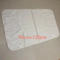 Item thumbnail for item 103cfc09-5472-4c34-a684-31392a52d0be