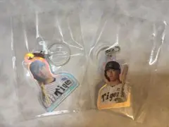 阪神タイガース めじるしオーロラチャーム　木浪聖也　前川右京