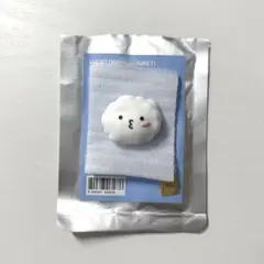 SEVENTEEN MINITEEN ウジ マグネット ラキドロ