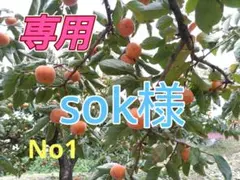 ①☆専用sok様2箱▶4お値下げしました！《☆SALE》【農直5kg箱】平核無柿