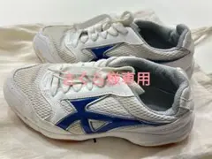 Mizuno 体育館シューズホワイト/ブルー